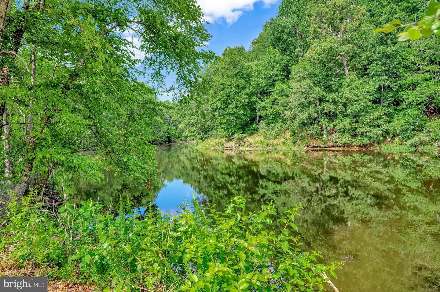 3580 Sherbrooke Circle #301 photo 35