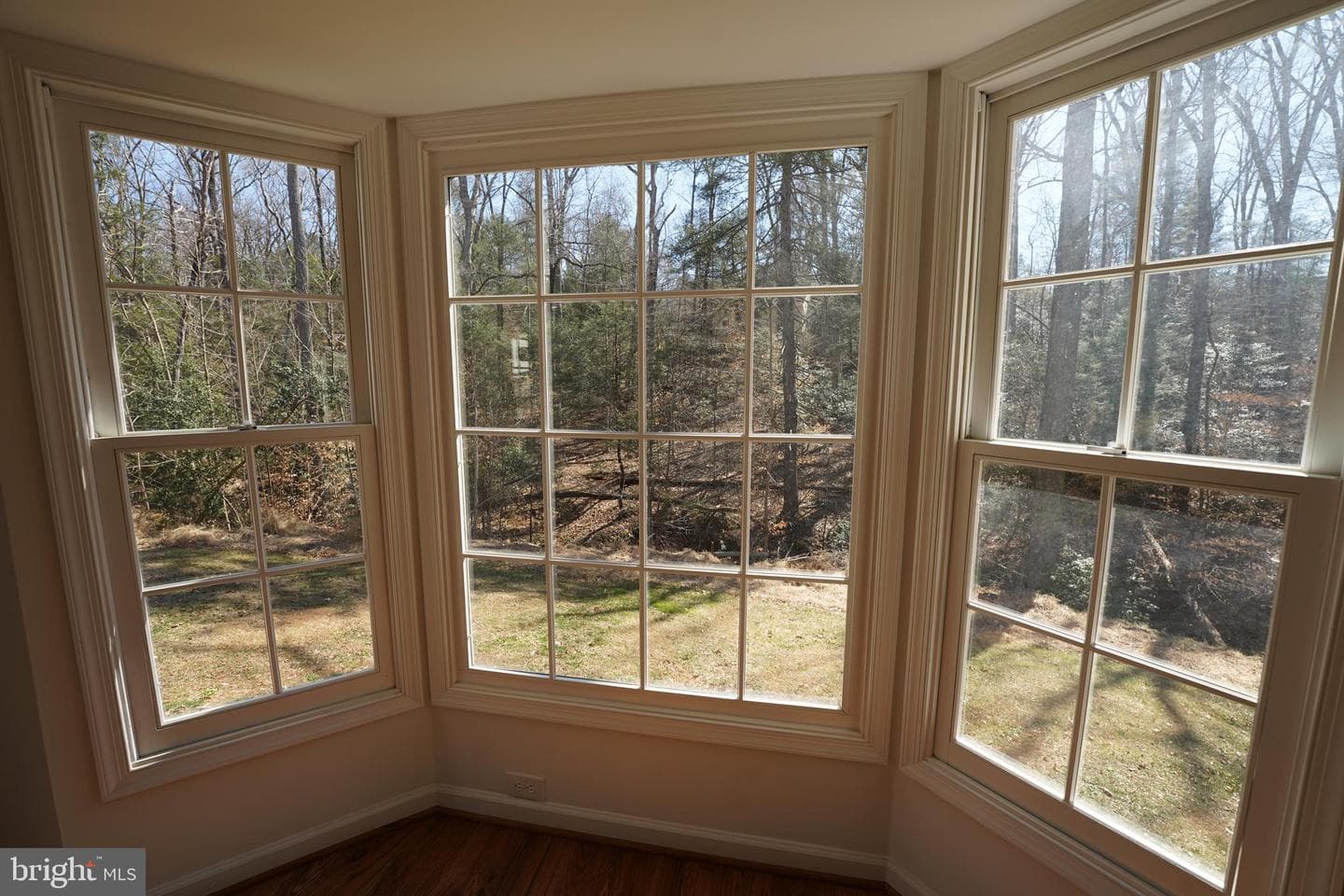 6195 River Forest Drive photo 29