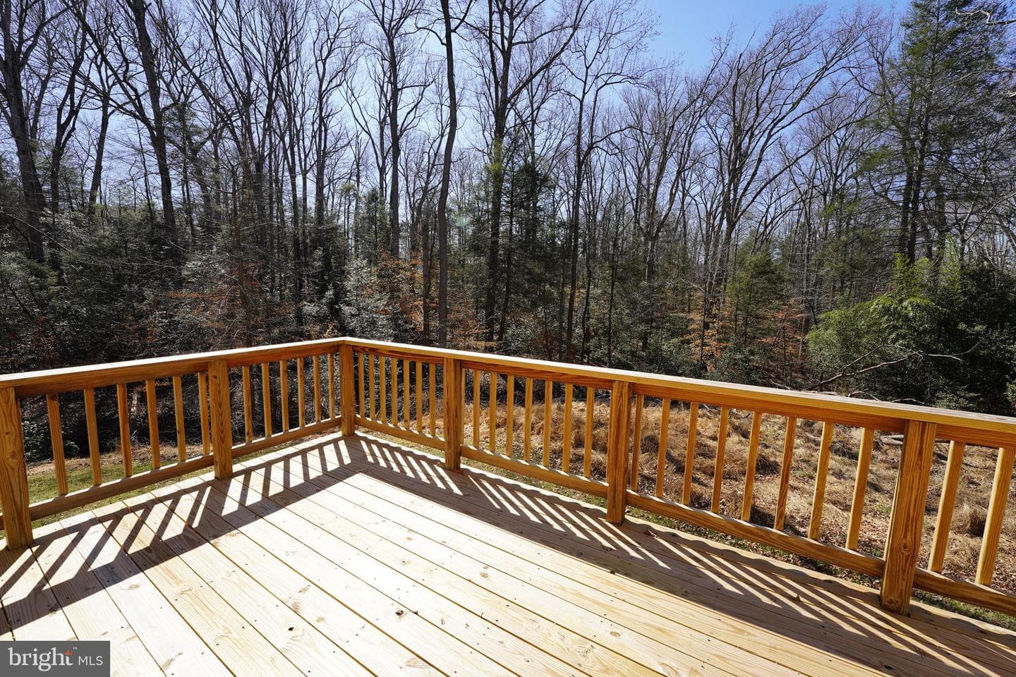 6195 River Forest Drive photo 76