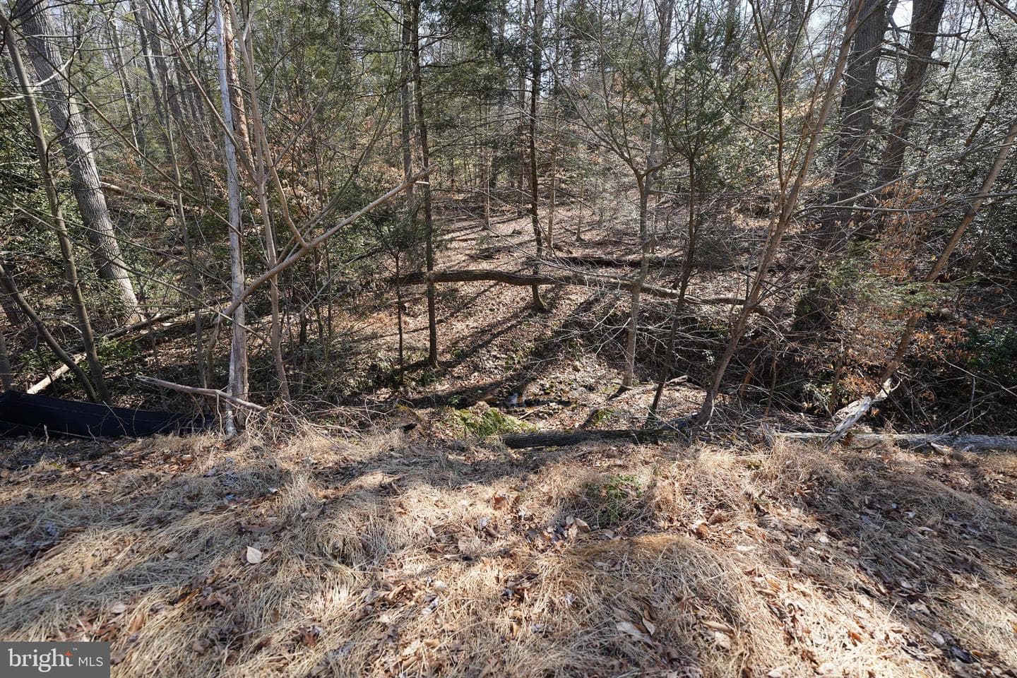 6195 River Forest Drive photo 83
