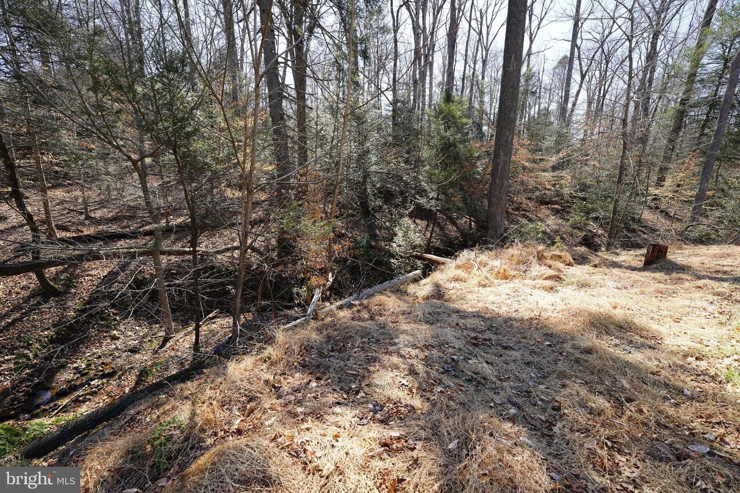 6195 River Forest Drive photo 84