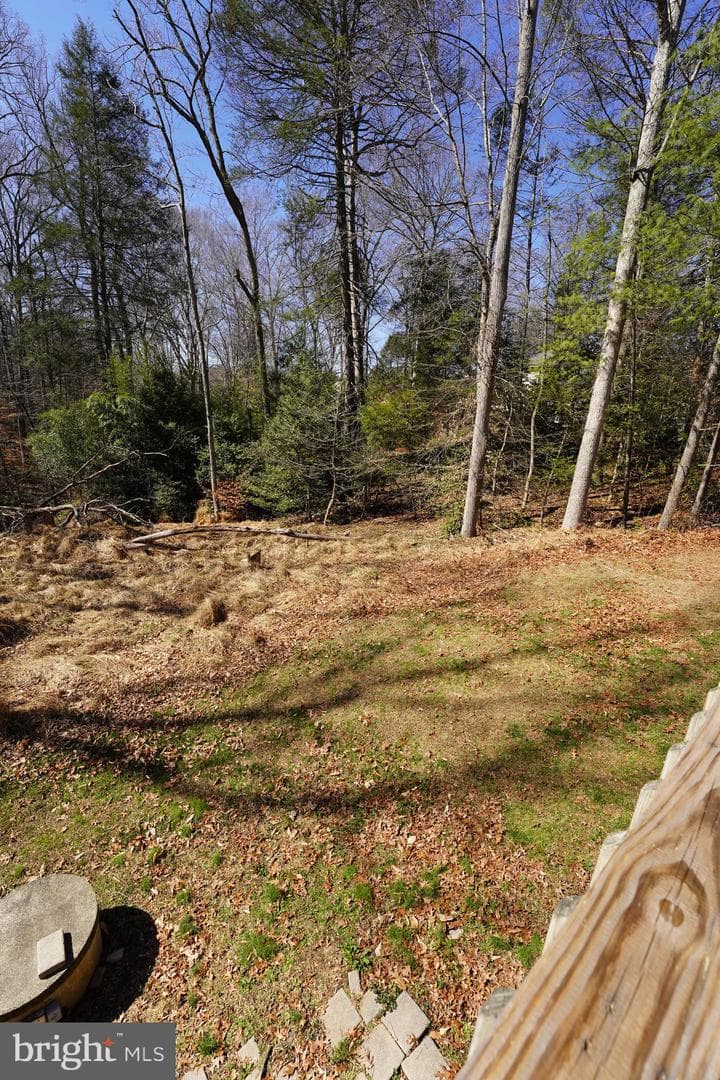 6195 River Forest Drive photo 85