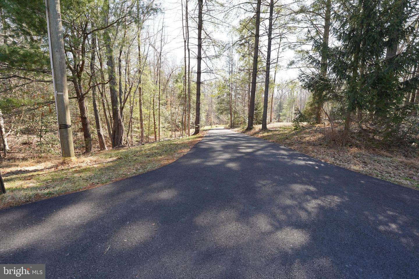 6195 River Forest Drive photo 96