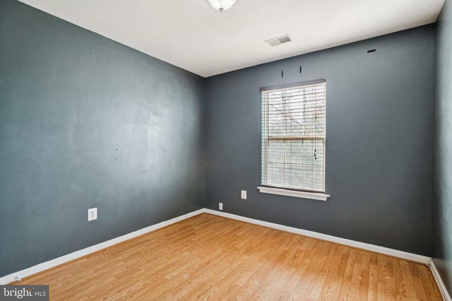 14324 Springfield Court photo 38