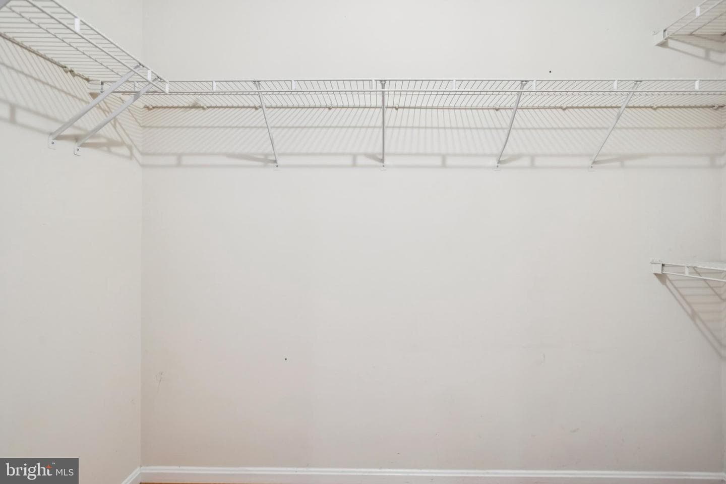 14324 Springfield Court photo 46