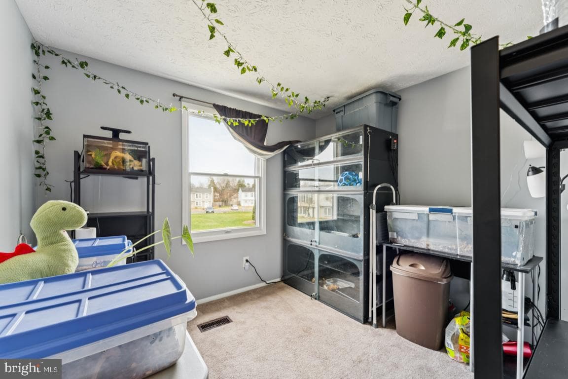 10119 Statesboro Court photo 20
