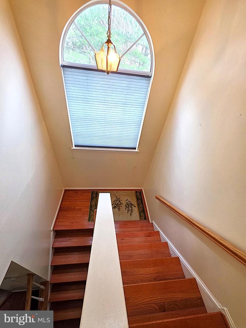 3329 Esquarre Court photo 23