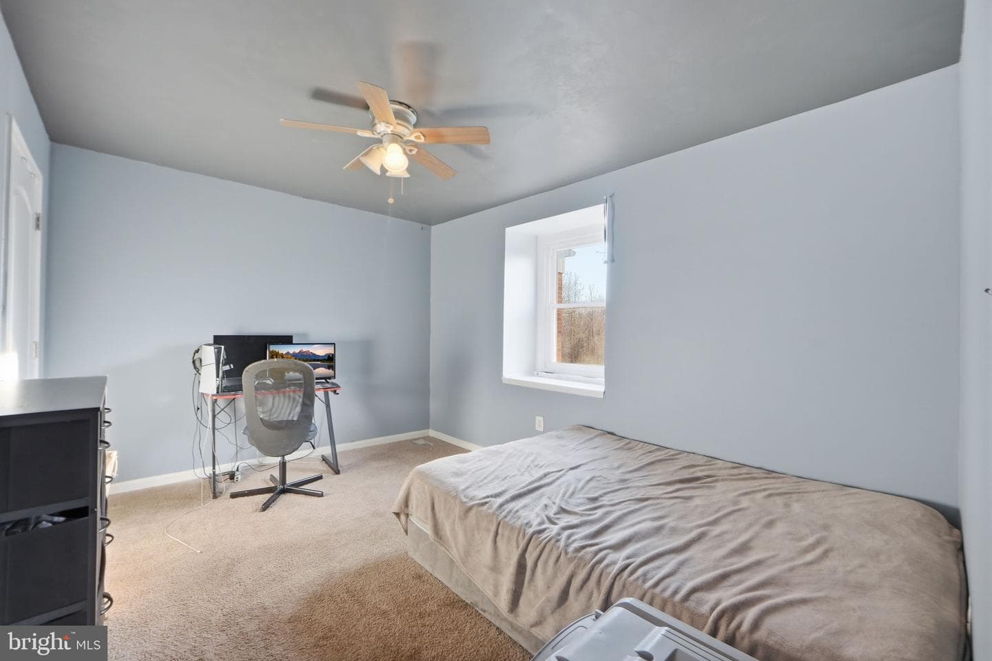 7526 Campbell Court photo 21