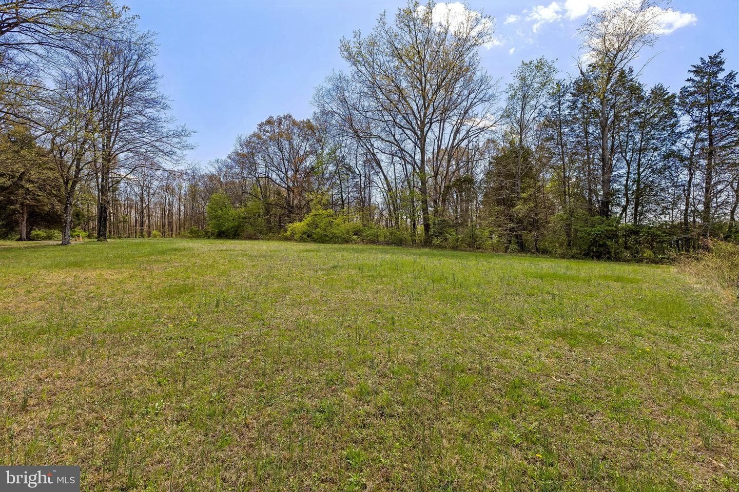 13605 Fleetwood Drive photo 8