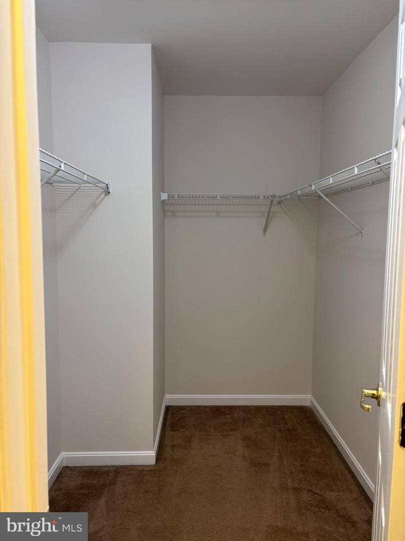 11278 Wortham Crest Circle photo 10