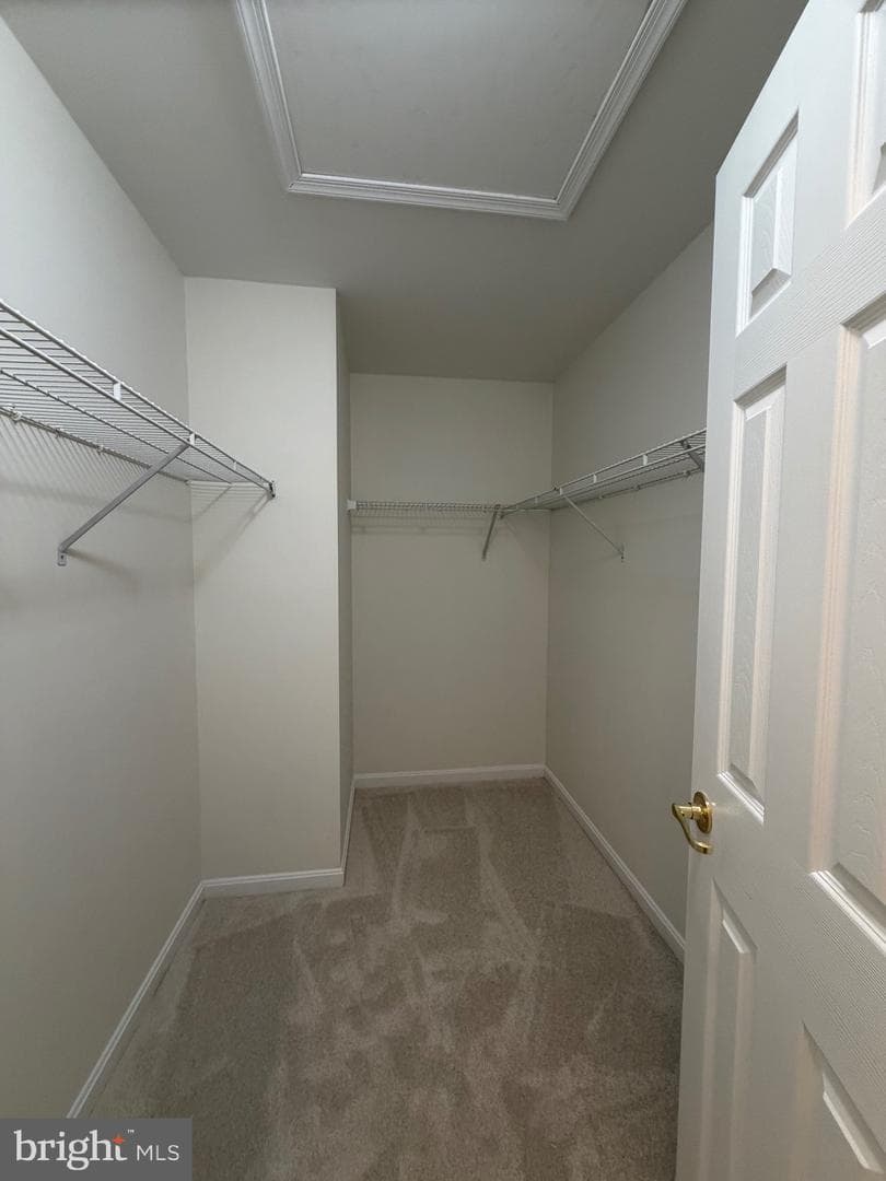 11278 Wortham Crest Circle photo 18