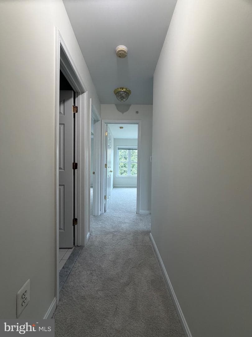 11278 Wortham Crest Circle photo 23