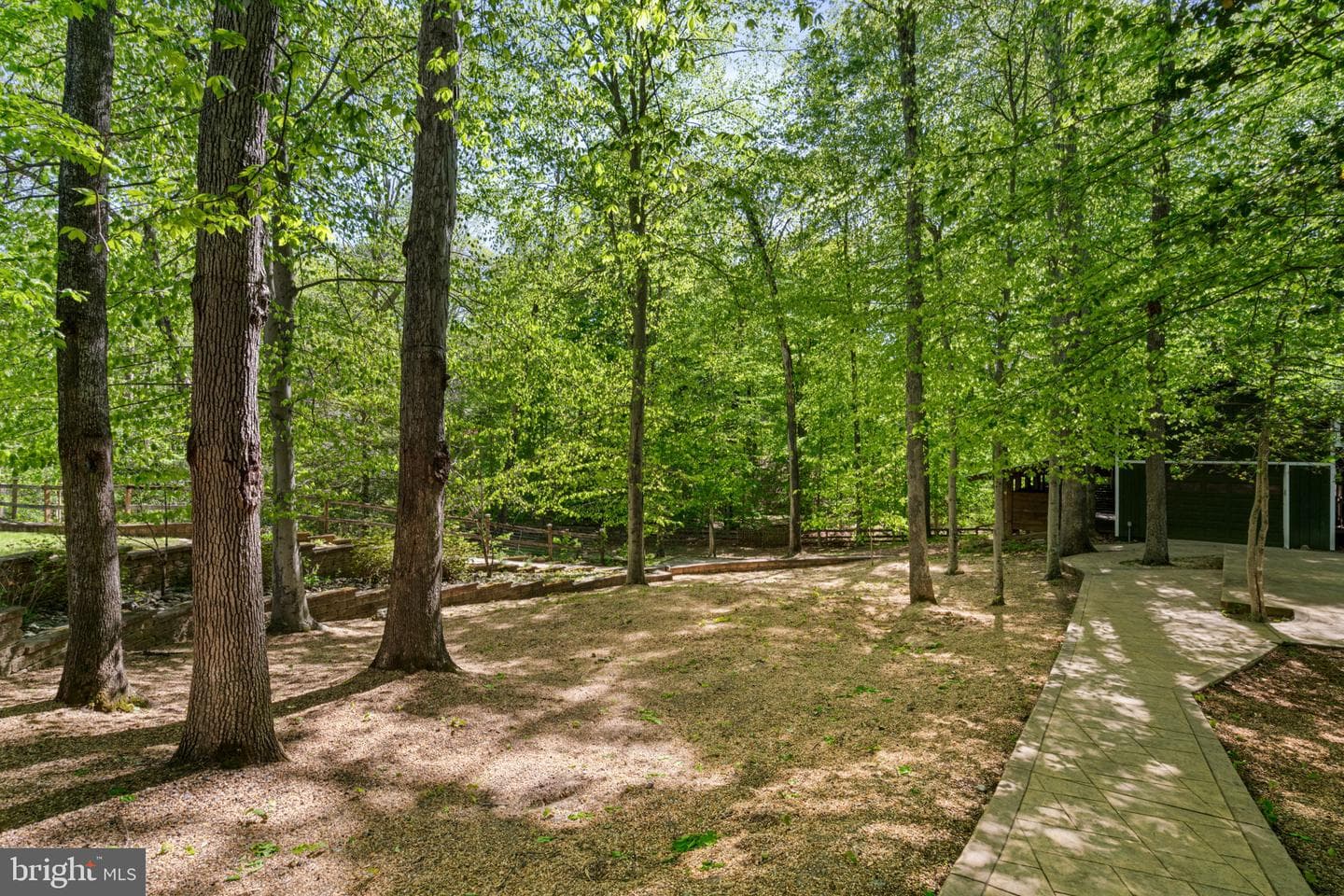 12522 Spring Drive photo 67