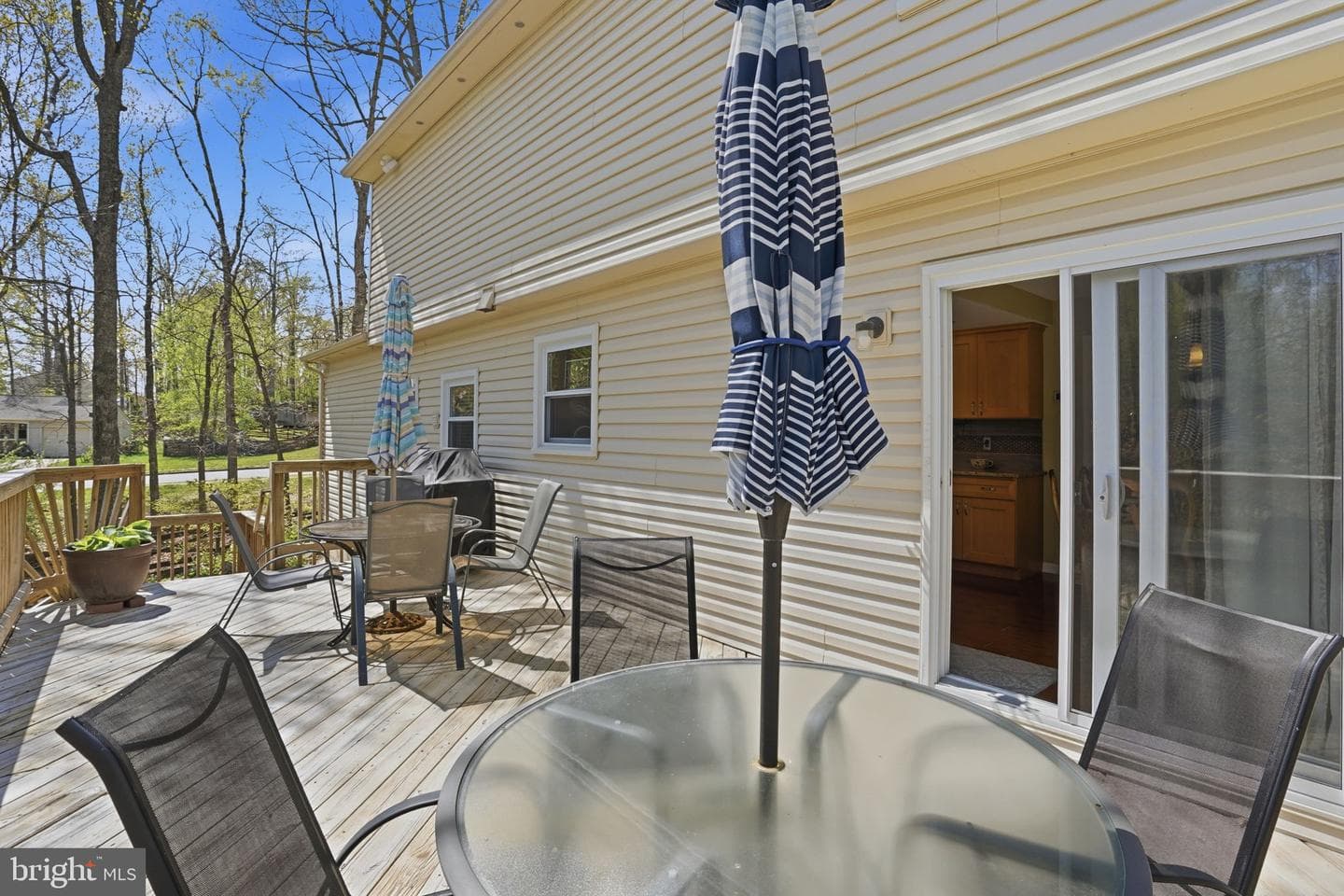 12008 Willowood Drive photo 18