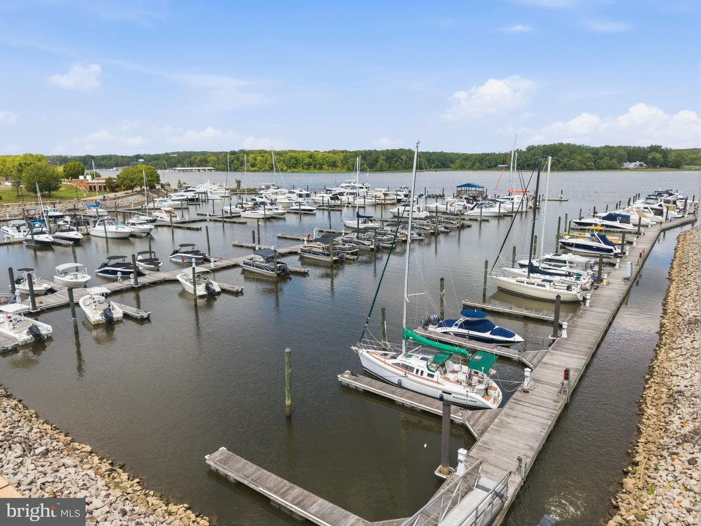 500 Belmont Bay Drive #305 photo 35