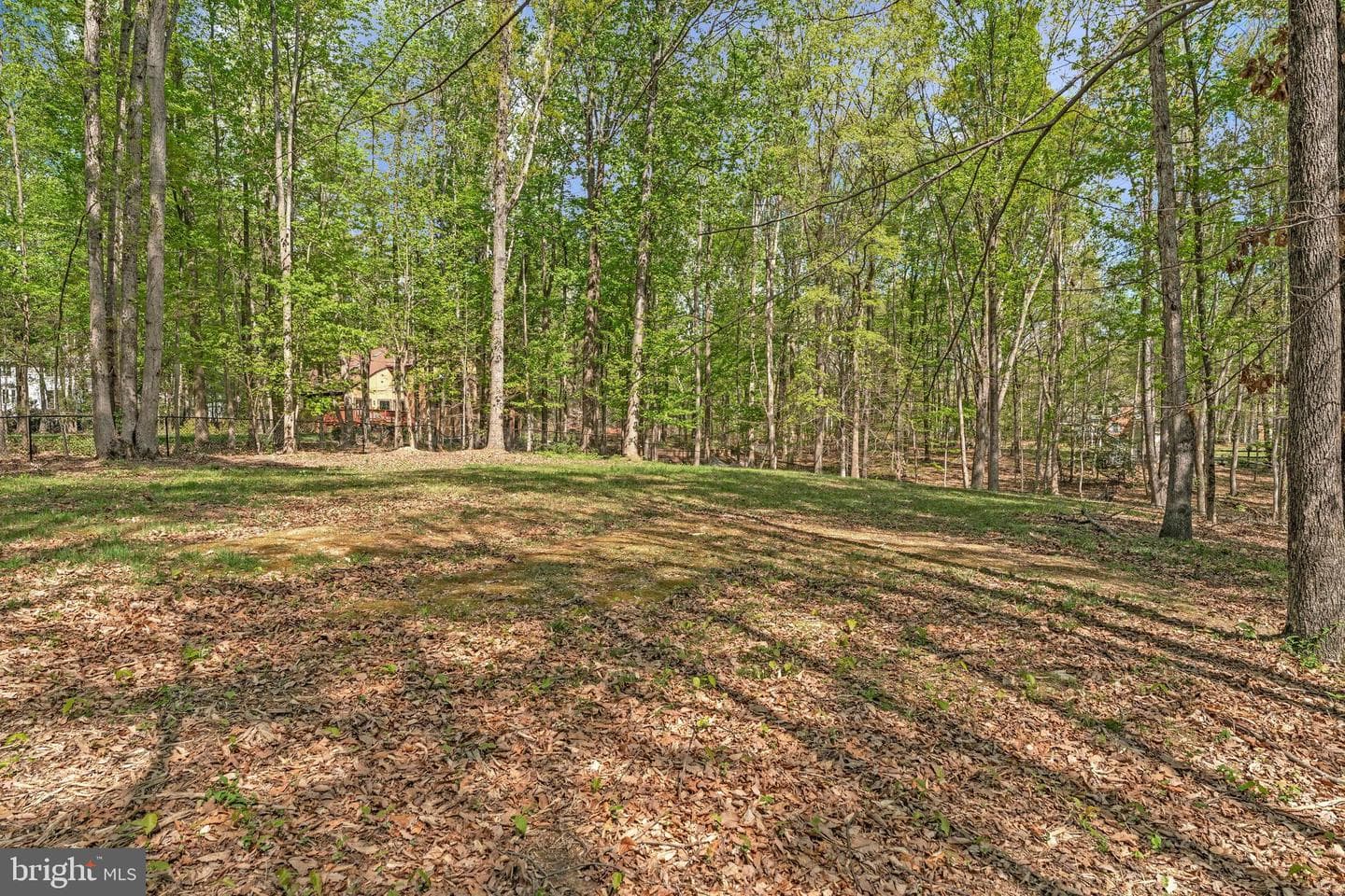 11750 Buckley photo 48