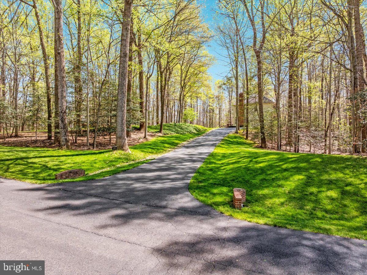 11671 Sandal Wood Lane photo 55