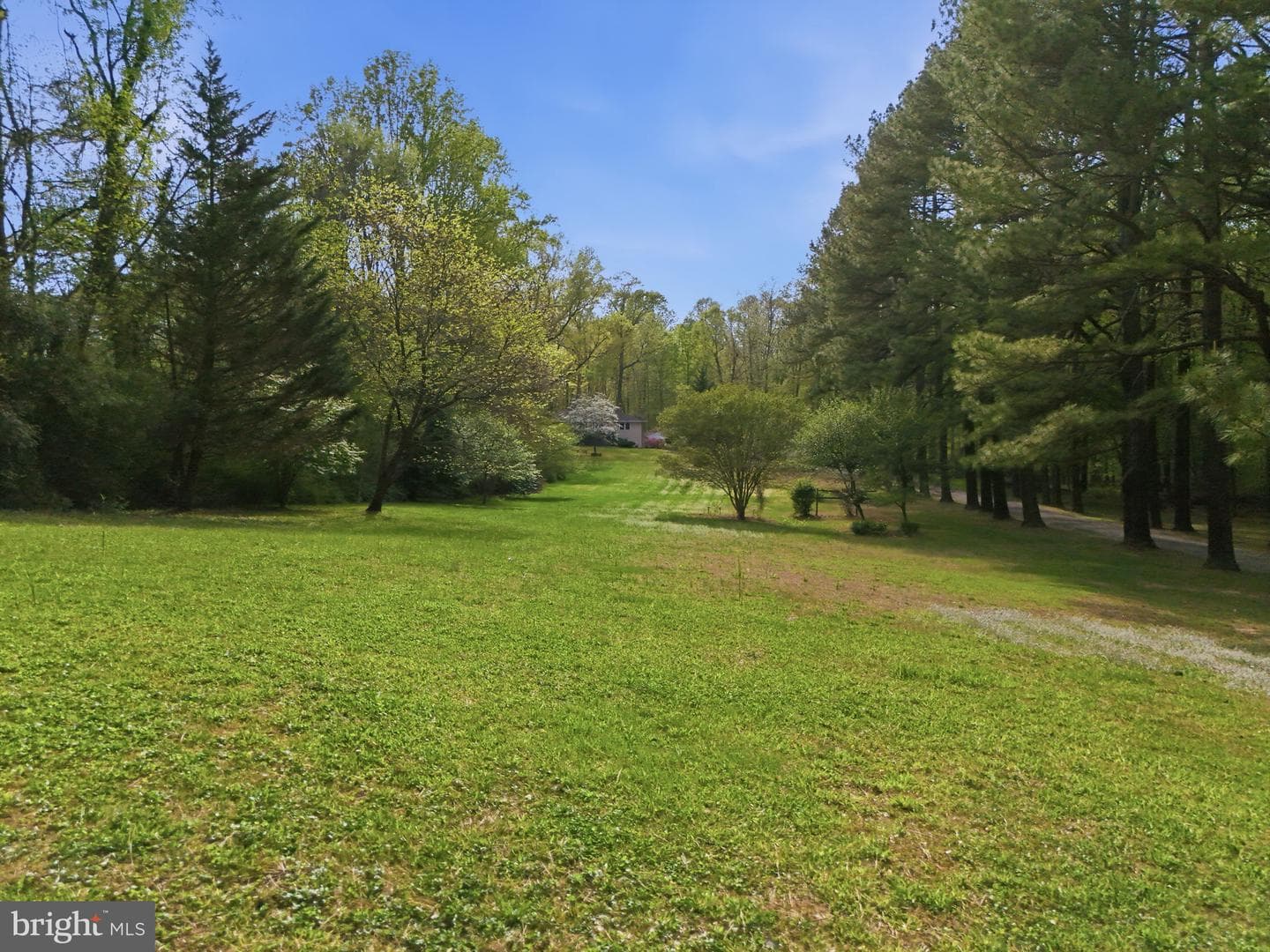 10804 Lake Jackson Drive photo 3