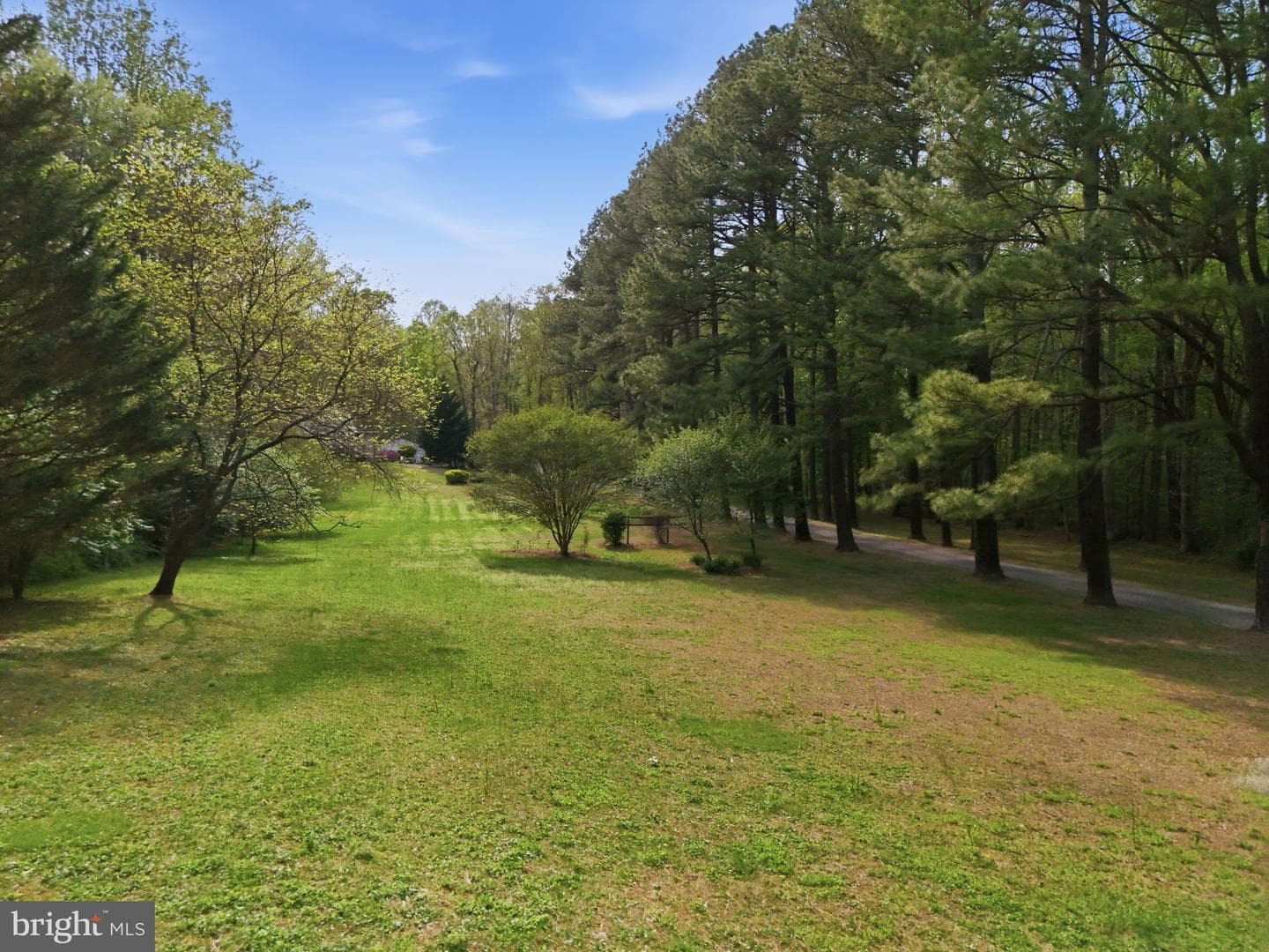 10804 Lake Jackson Drive photo 74