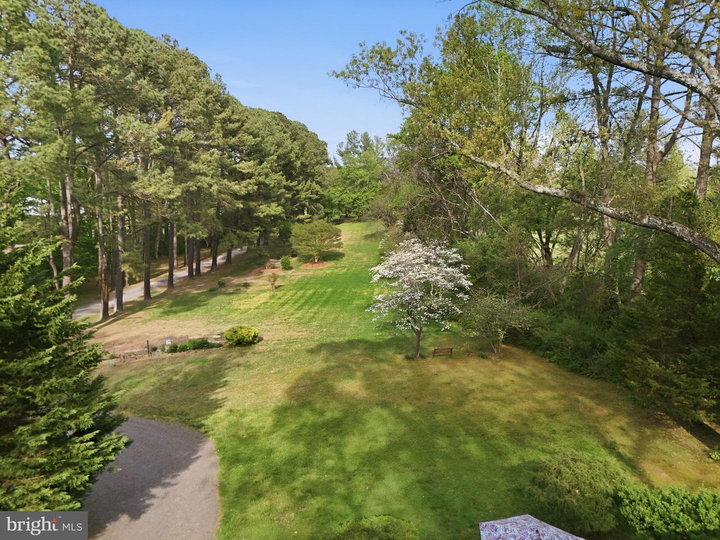10804 Lake Jackson Drive photo 75