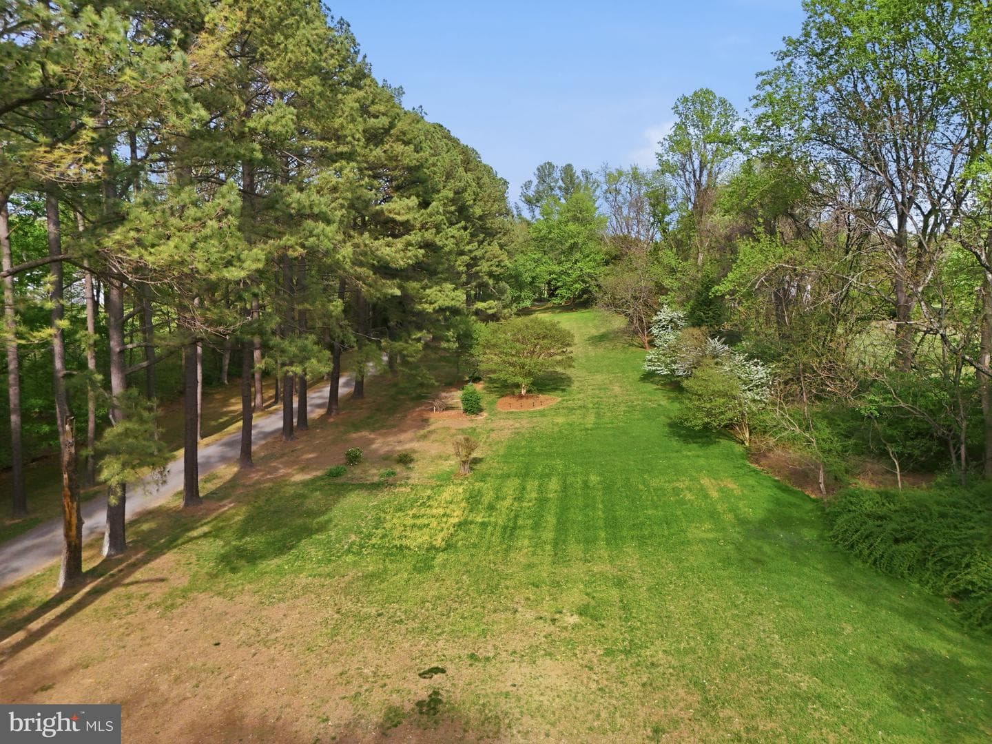 10804 Lake Jackson Drive photo 77