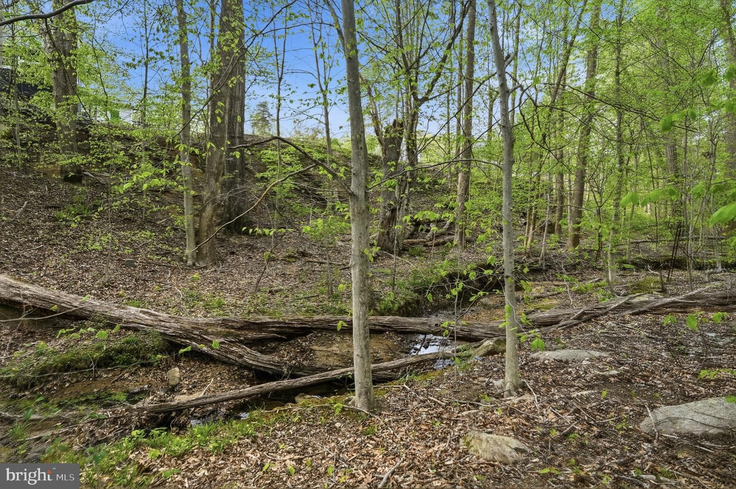 10804 Lake Jackson Drive photo 81