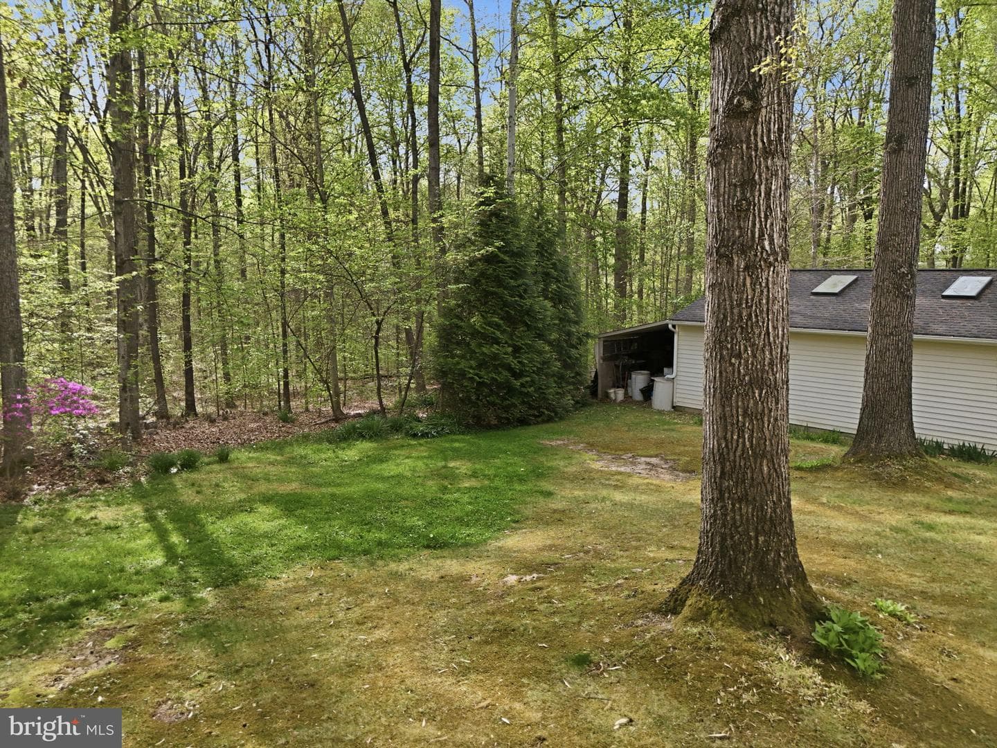 10804 Lake Jackson Drive photo 82