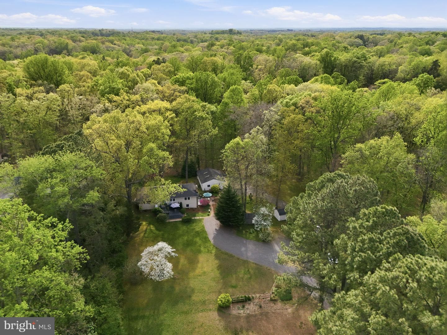 10804 Lake Jackson Drive photo 83