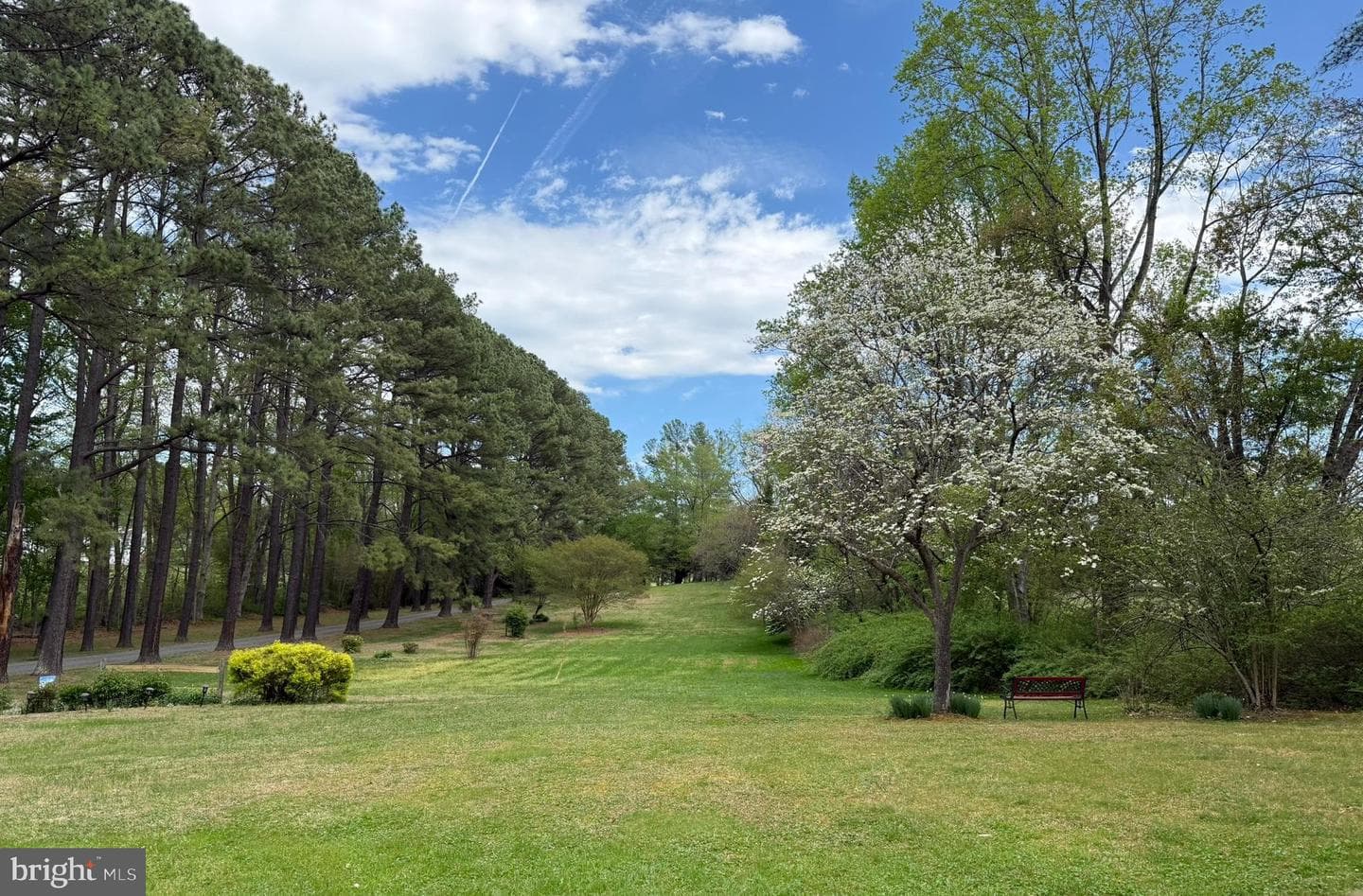 10804 Lake Jackson Drive photo 84