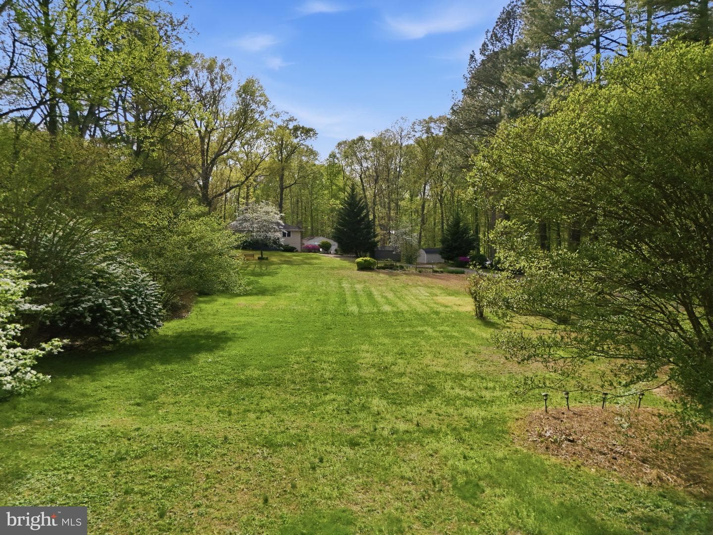10804 Lake Jackson Drive photo 87