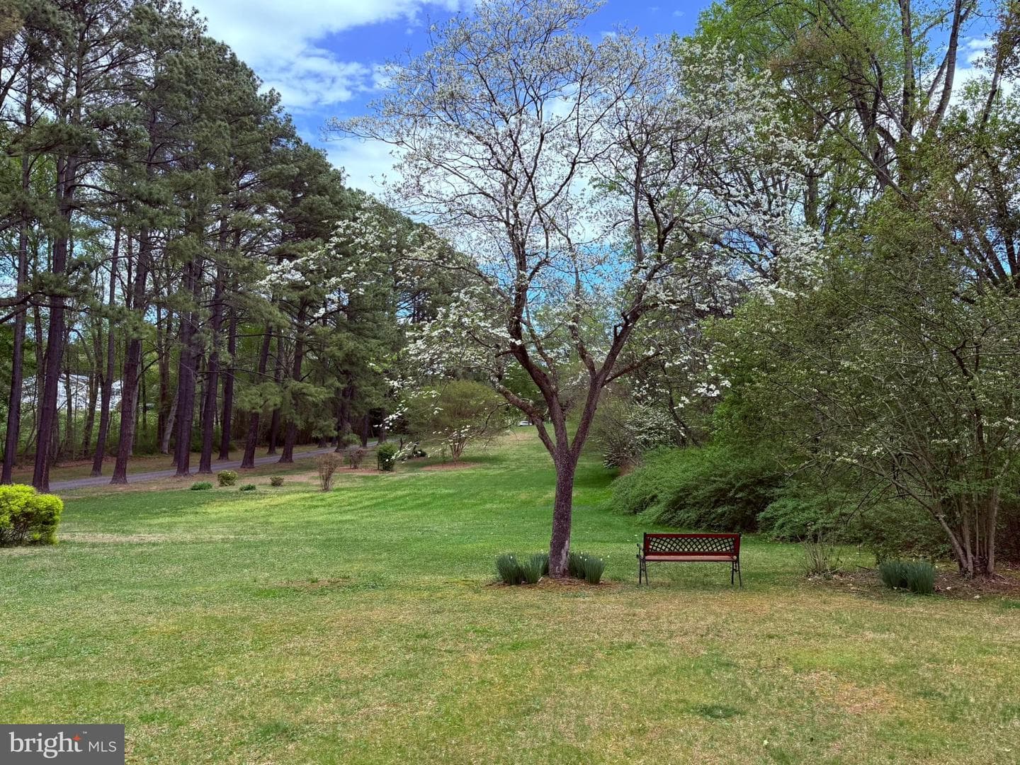 10804 Lake Jackson Drive photo 89