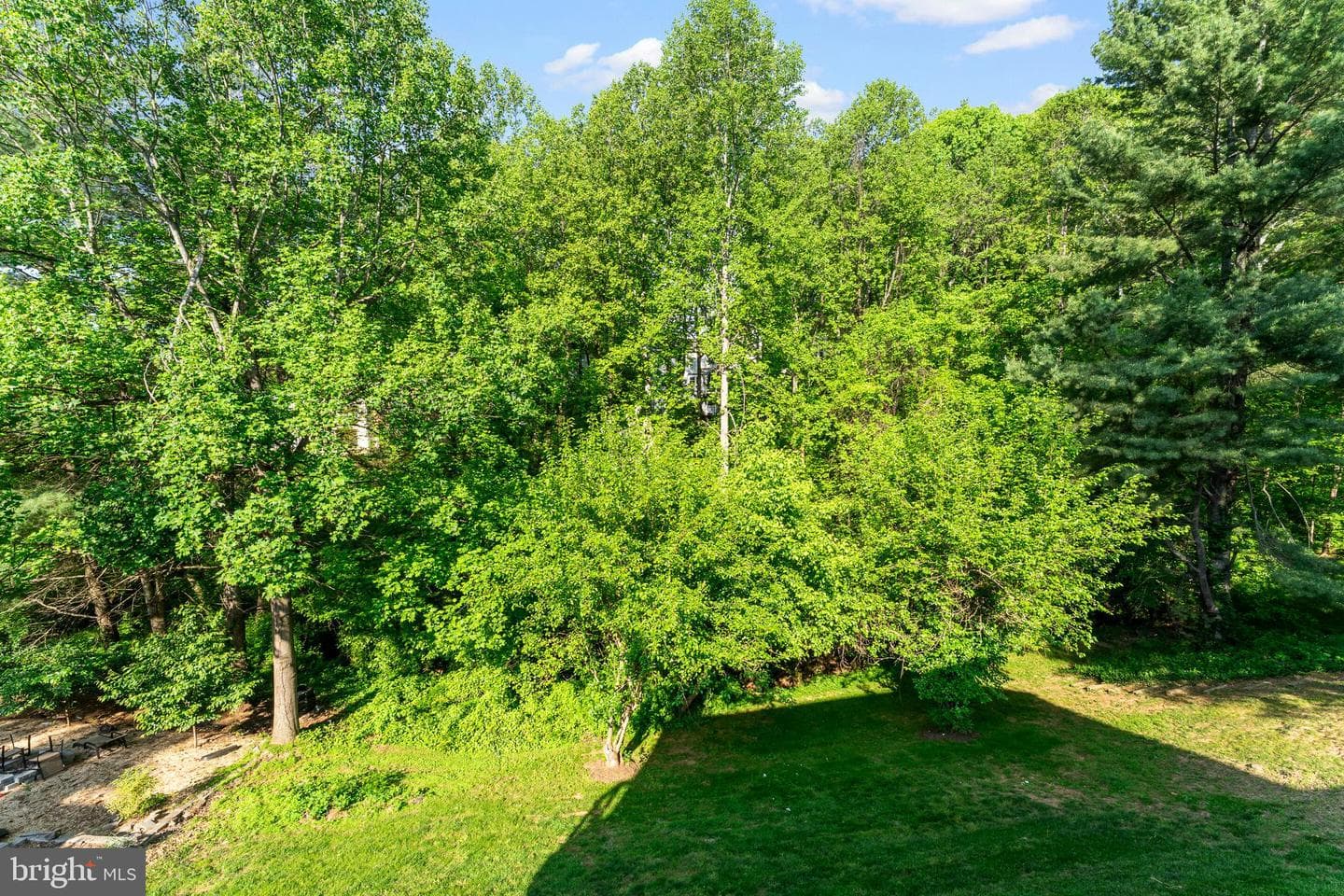 15426 Silvan Glen Drive photo 28