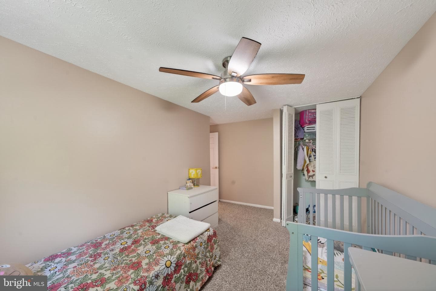 15095 Mill Spring Drive photo 17