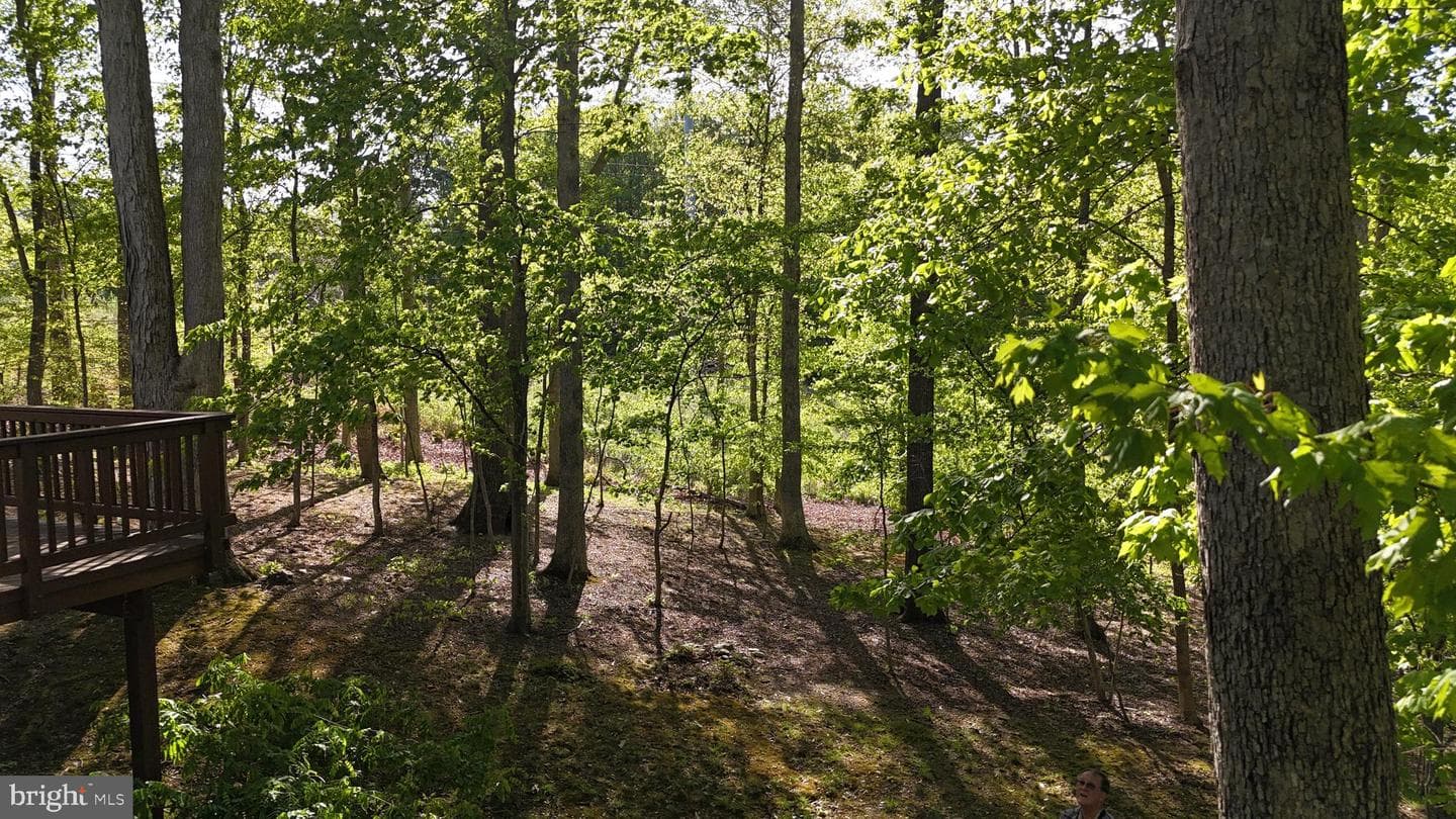 11808 Oakwood Drive photo 59