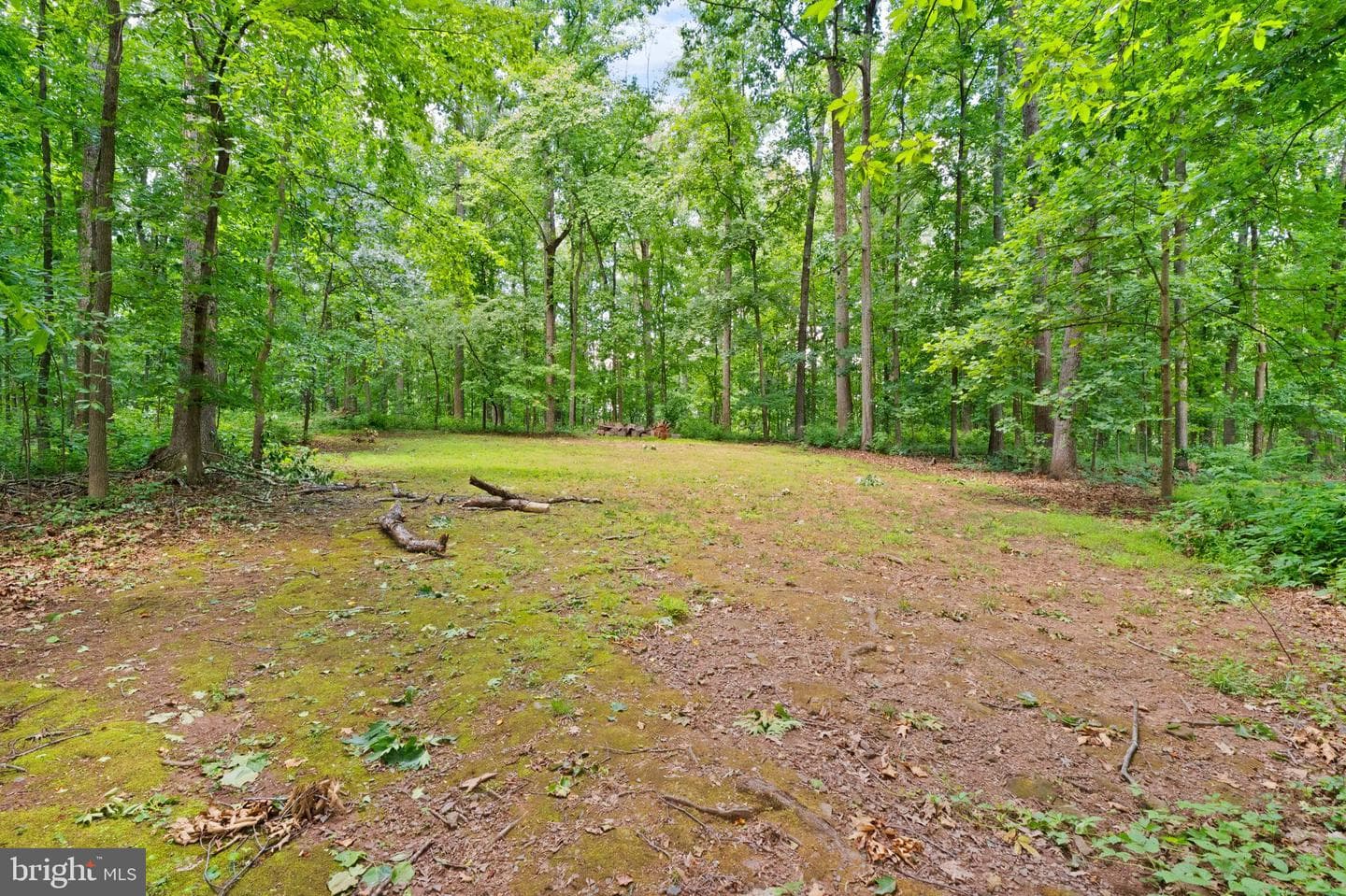 4560 Lynn Forest Drive photo 66