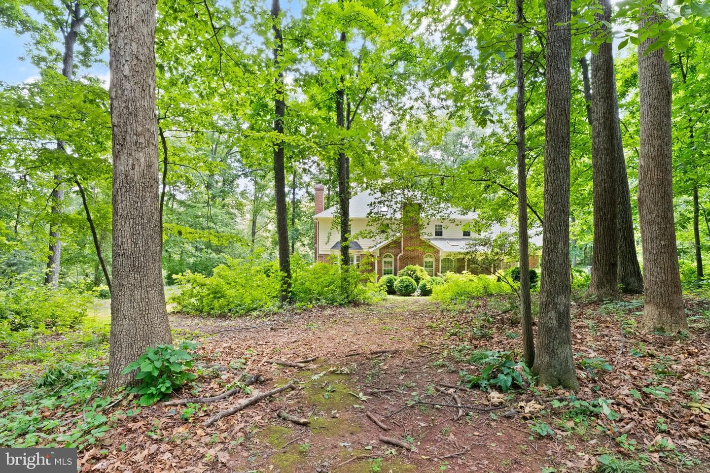 4560 Lynn Forest Drive photo 69
