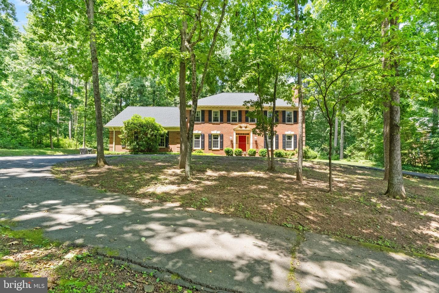 4560 Lynn Forest Drive photo 7