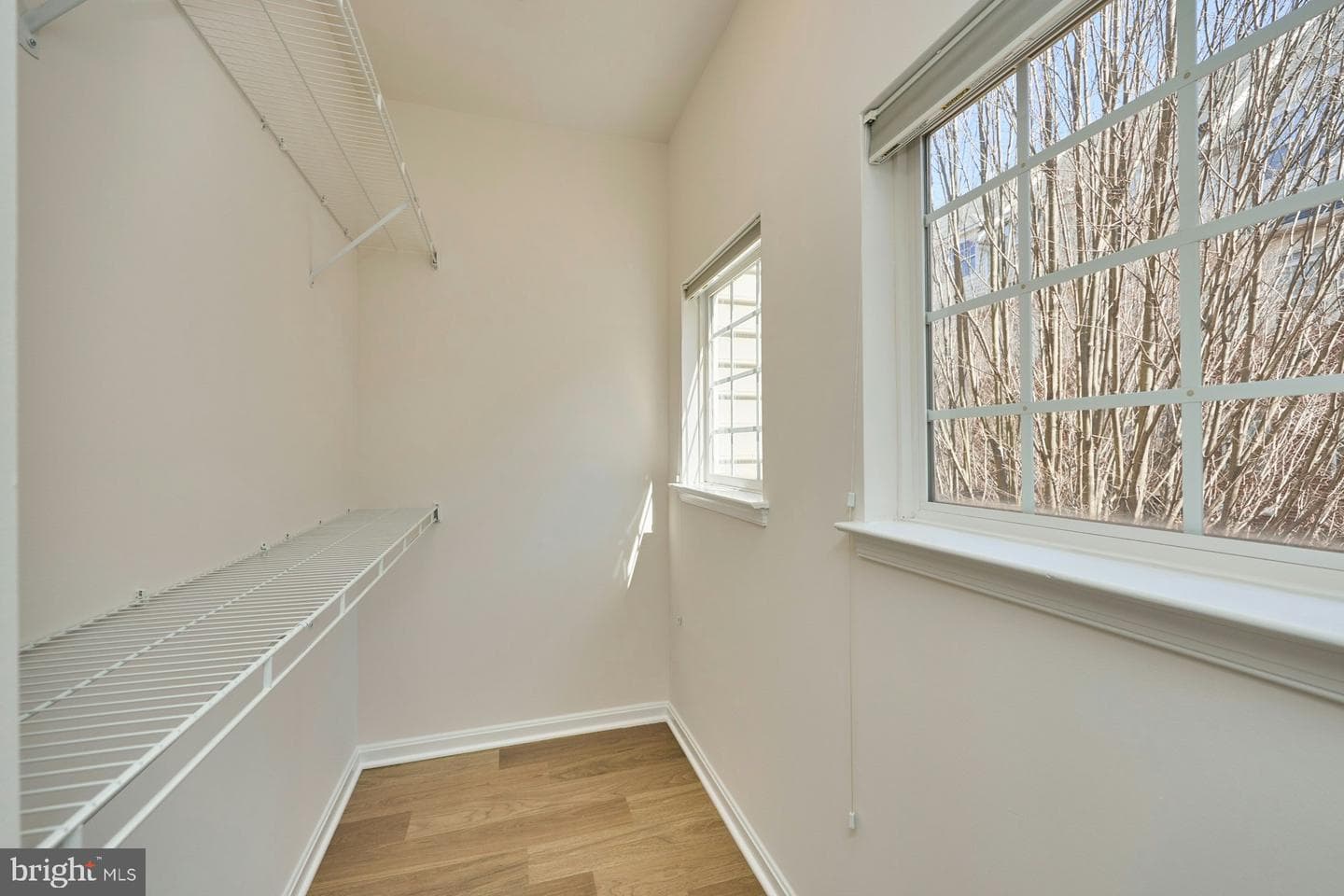 7166 Little Thames Drive #181 photo 21