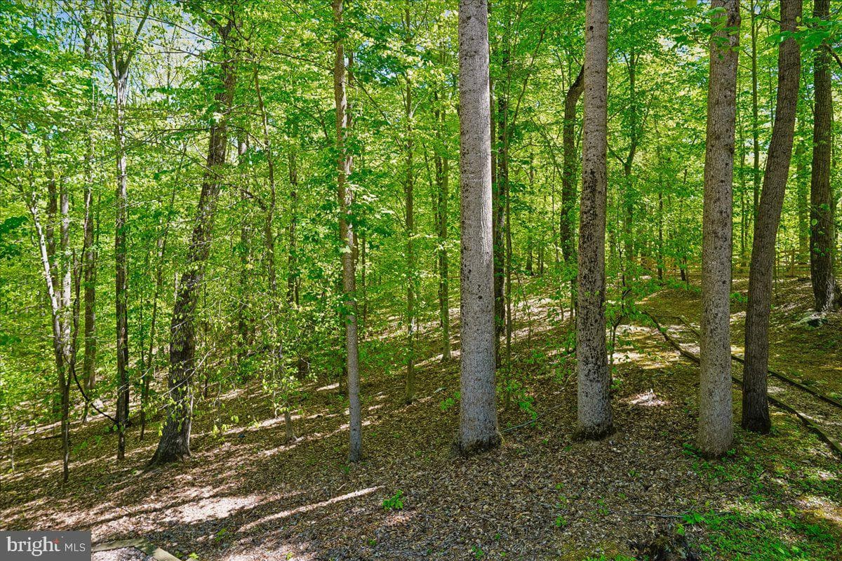 11215 Caisson Court photo 67