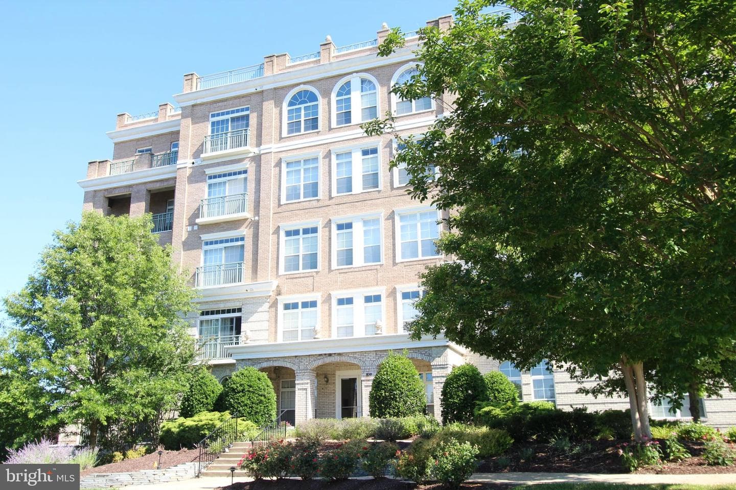 830 Belmont Bay Drive #303 photo 1