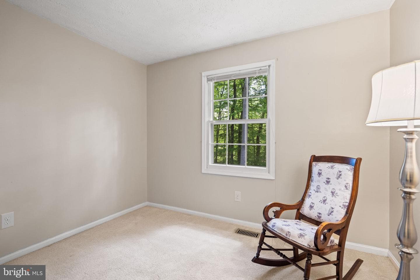 11913 Falling Creek Drive photo 65