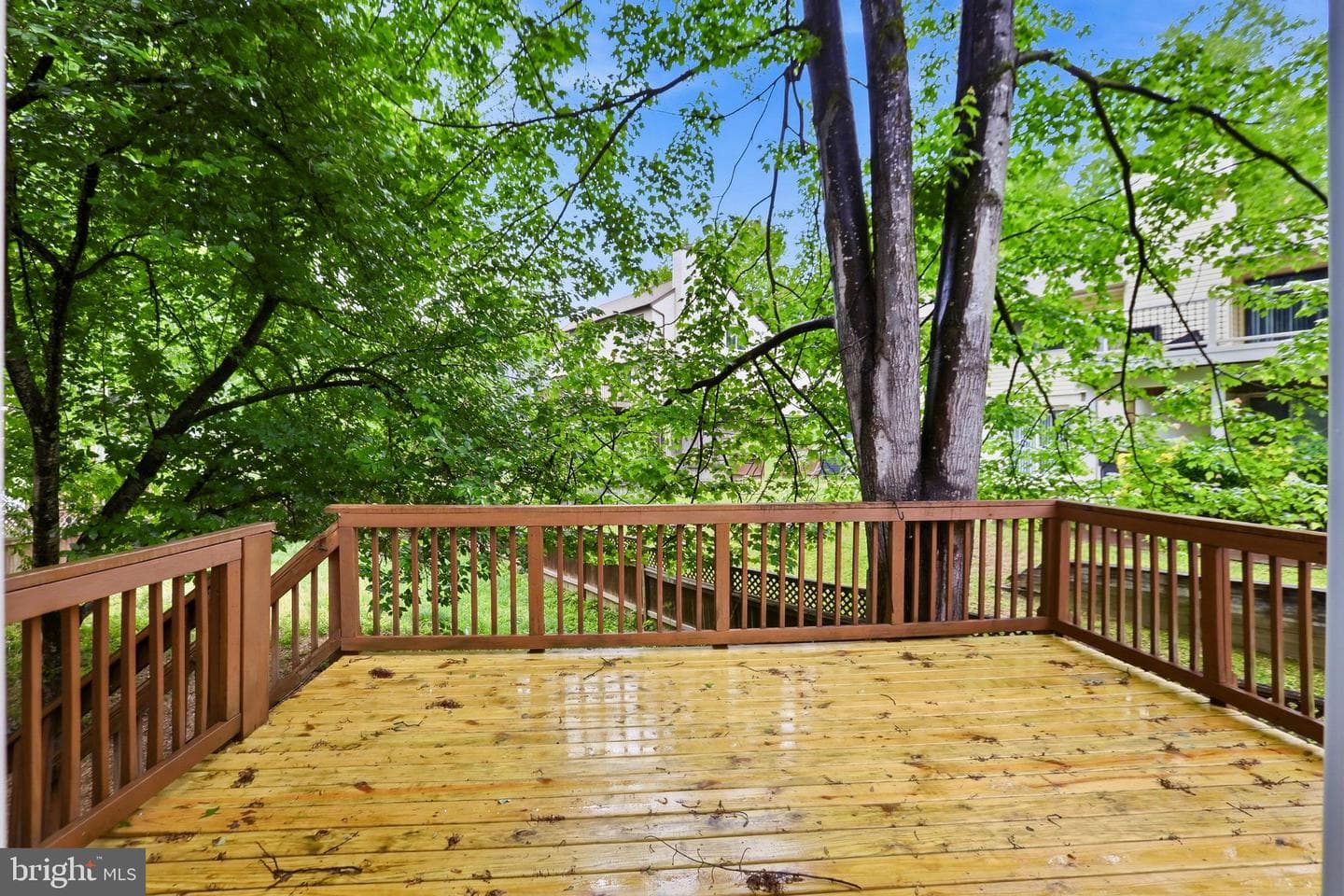 4306 Candlestick Court photo 39