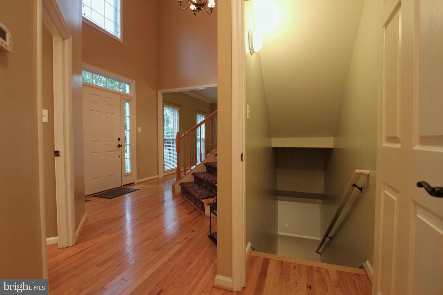 15419 Duckling Place photo 38
