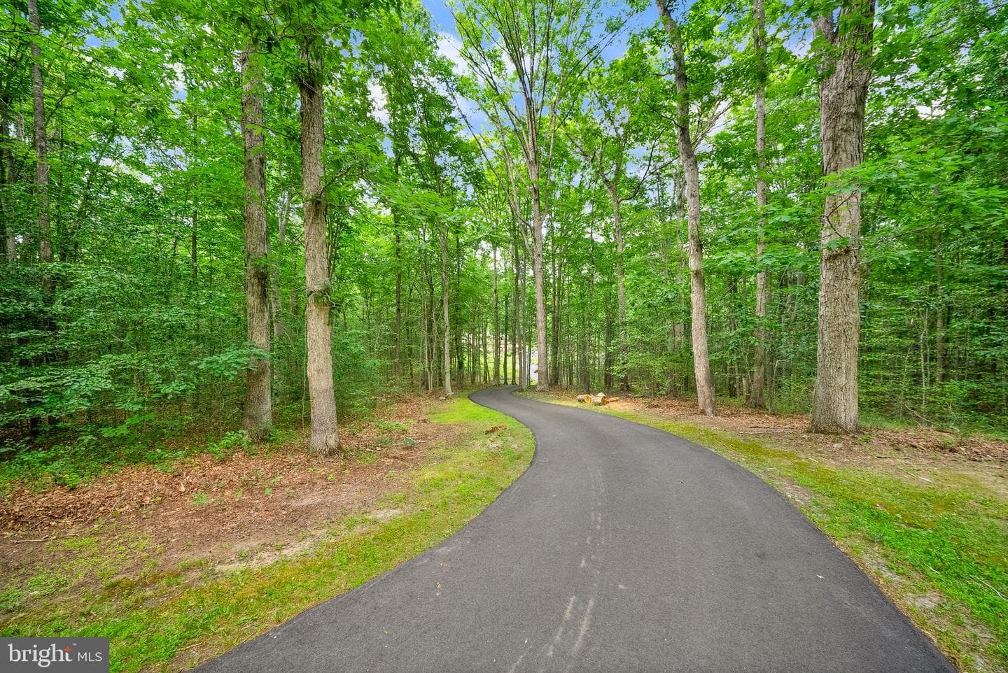 4896 Occoquan Club Drive photo 9