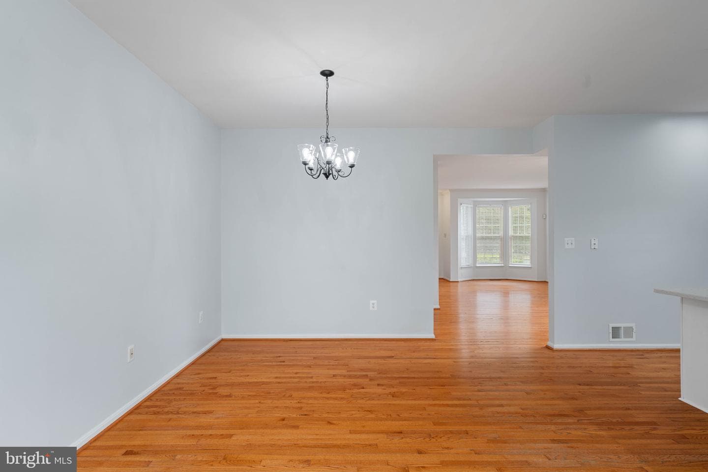 12028 Tango Ln photo 20