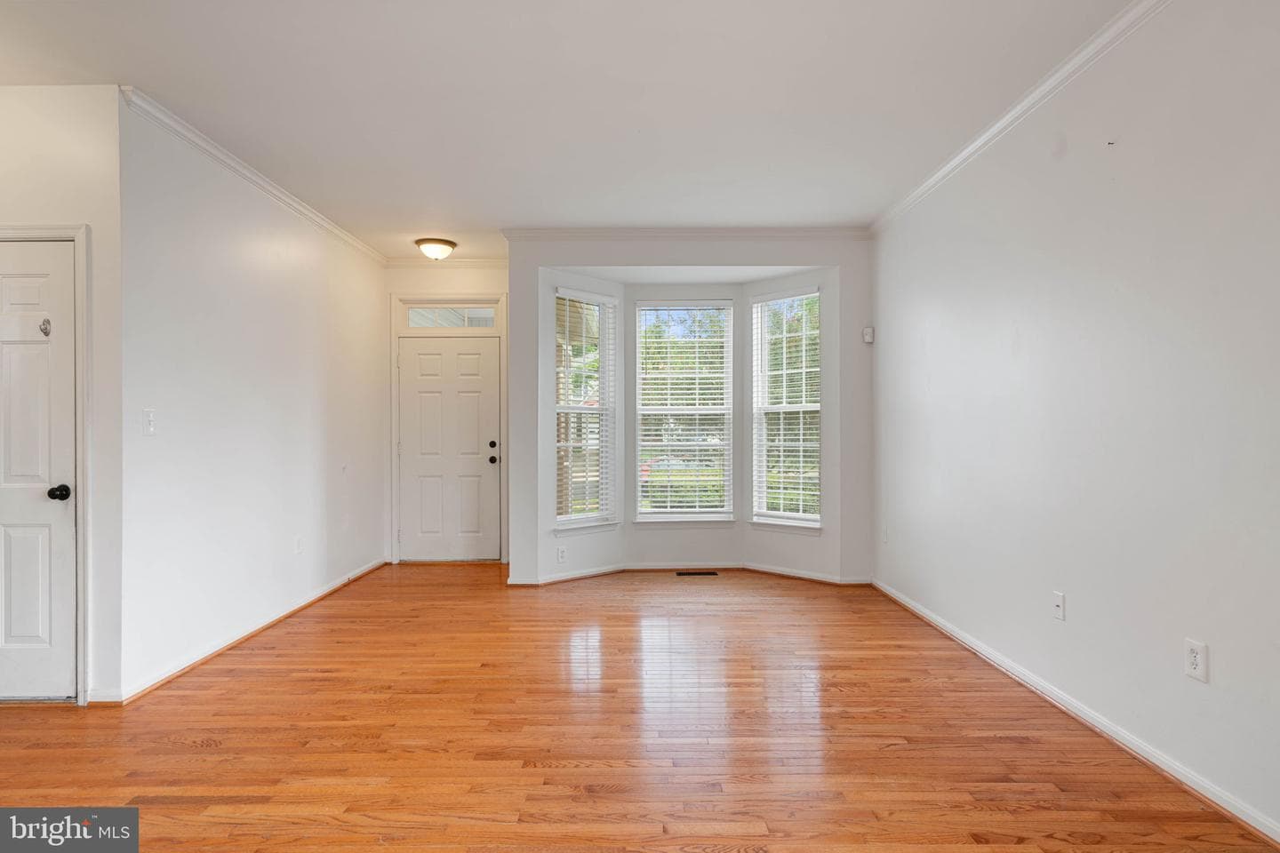 12028 Tango Ln photo 5