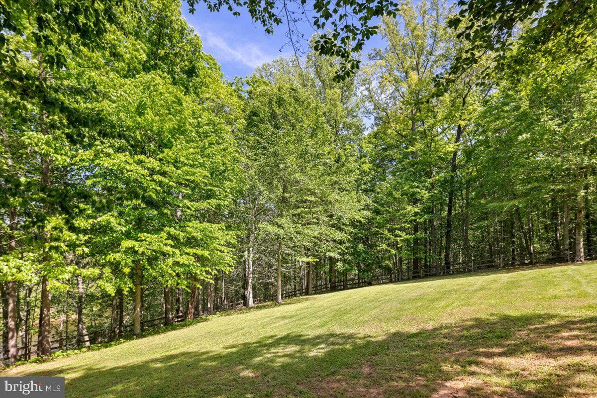7974 Pinnacle Ridge Drive photo 101