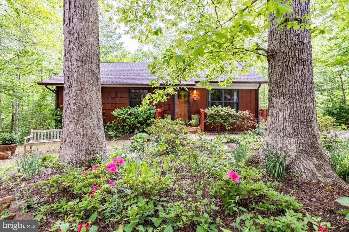 10924 Ravenwood Drive photo 1