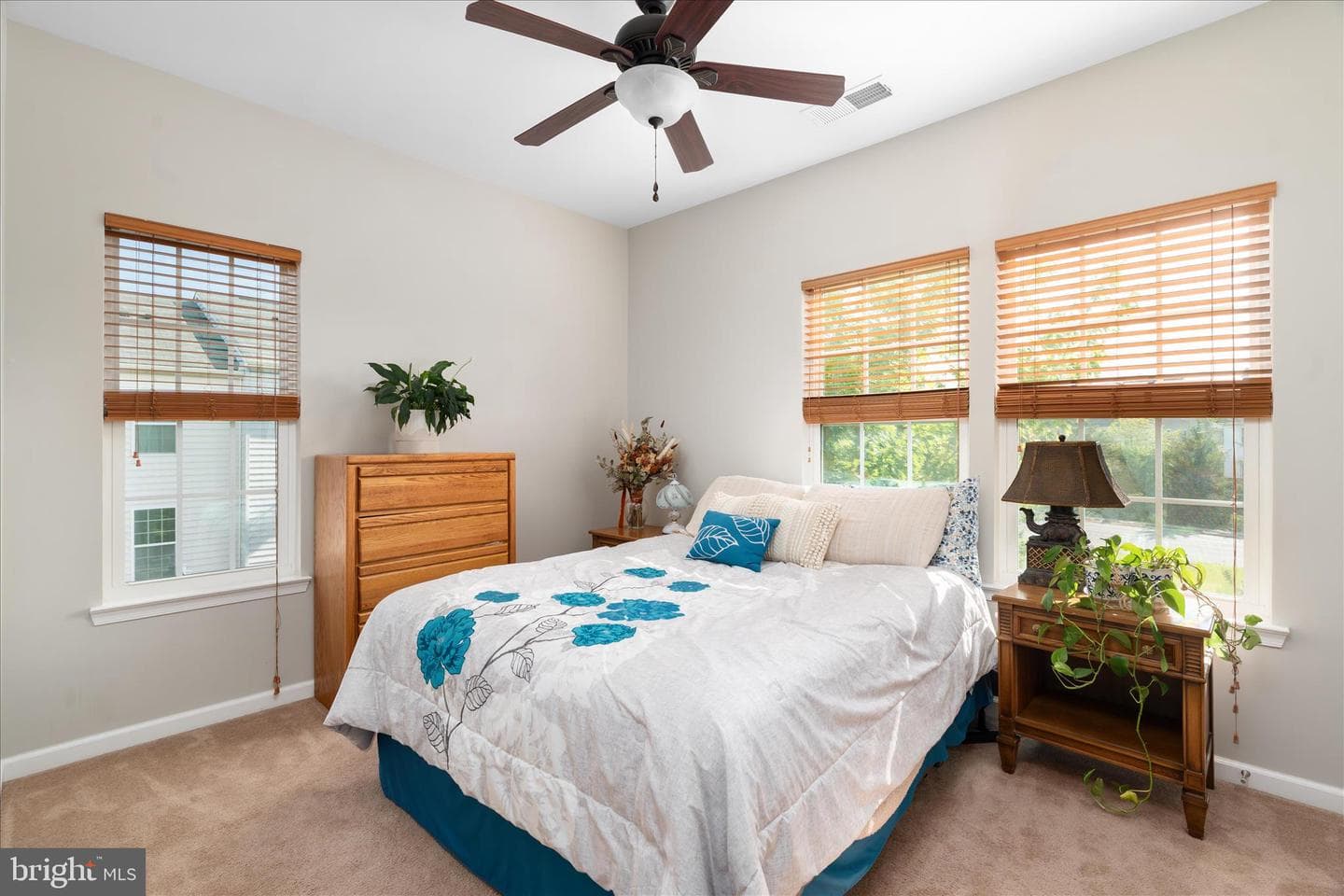 14158 Cannondale Way photo 16