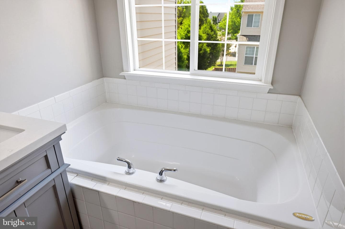 11078 Doubleday Lane photo 44